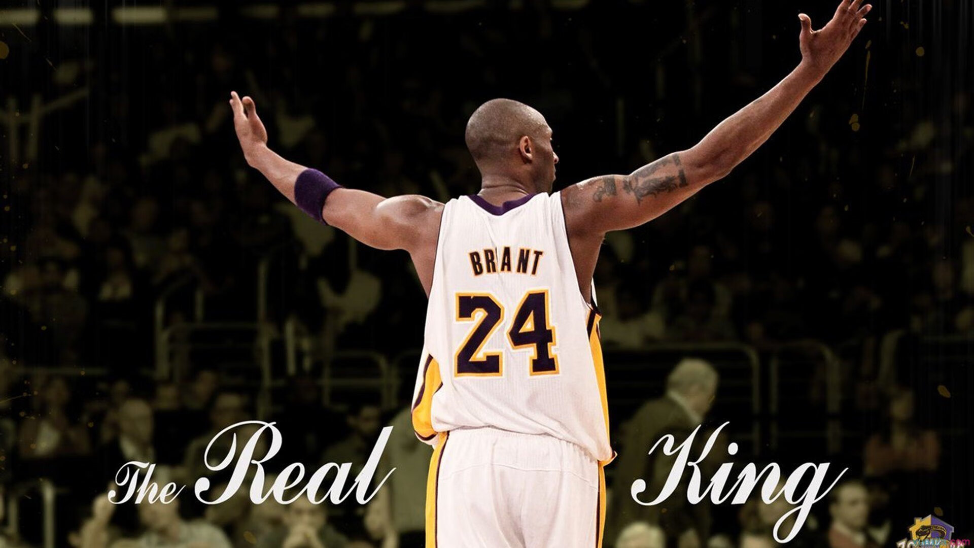 “未来青训”愿景逐步实现，数字化、智能化成为行业发展标配